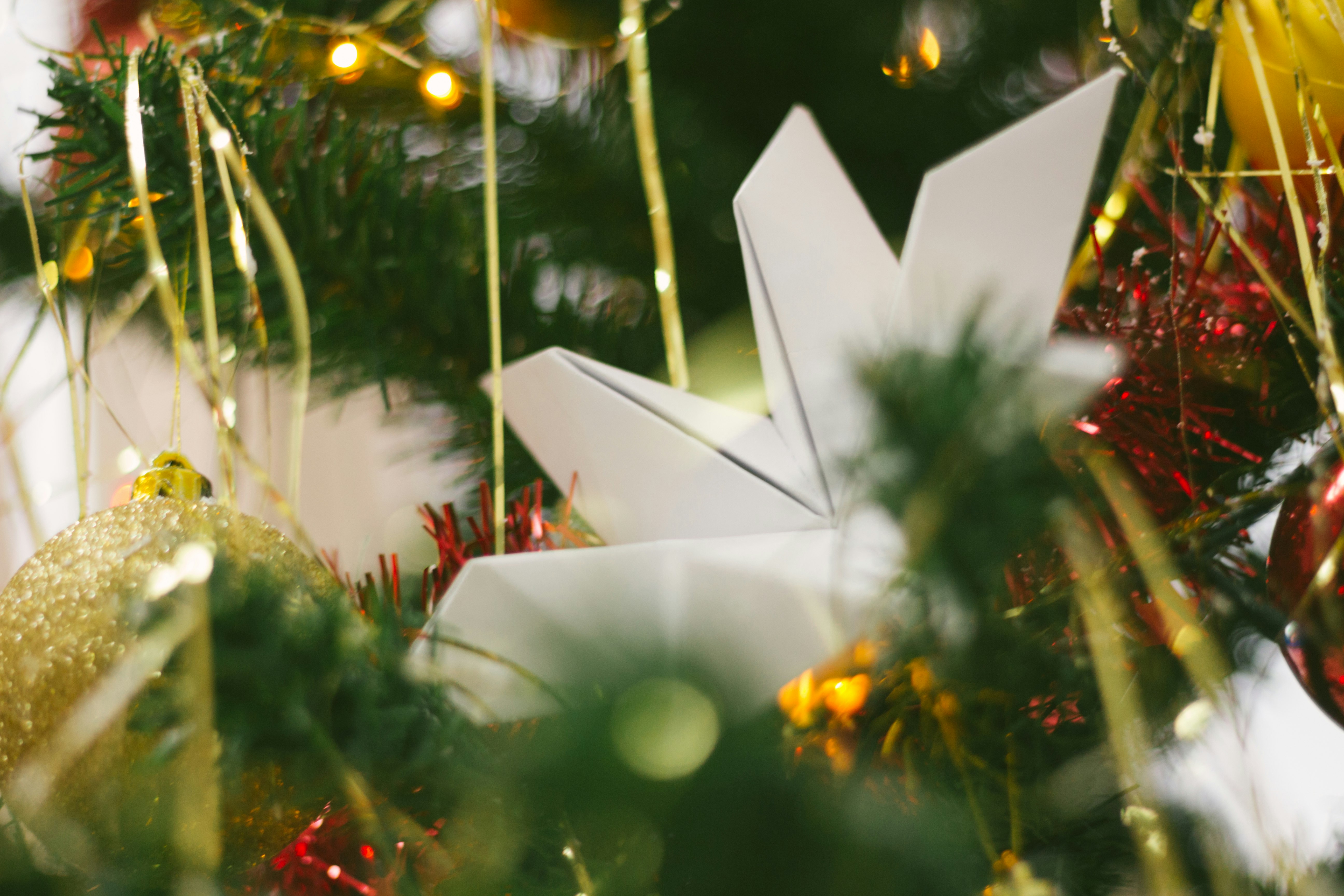 white star ornament on green christmas tree